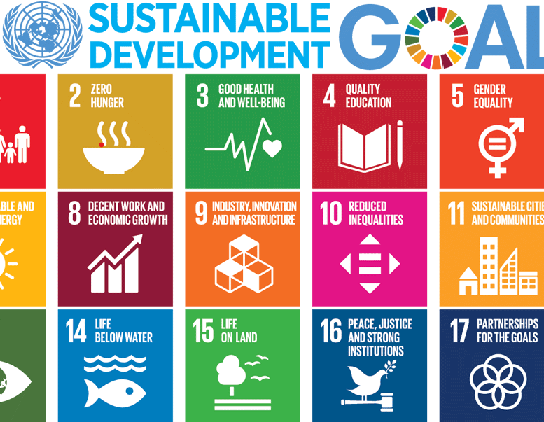 <i>Sustainable Development Goals</i> Sustainable Development Goals